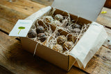 energia golyó box
